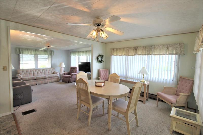 Dining/Living Area