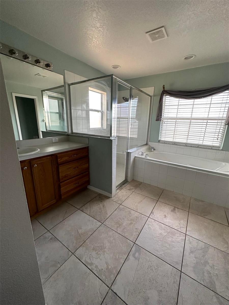 Master Bathroom1