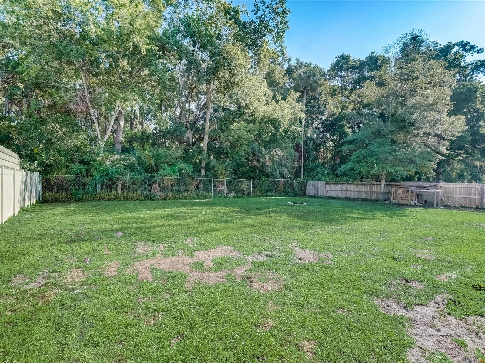 Backyard