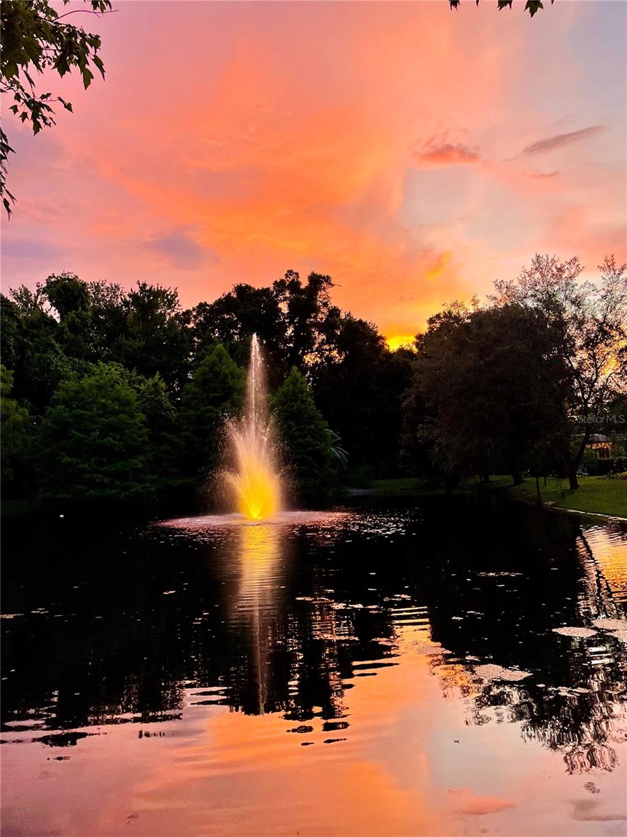 Sunset at the pond in the neighborhood