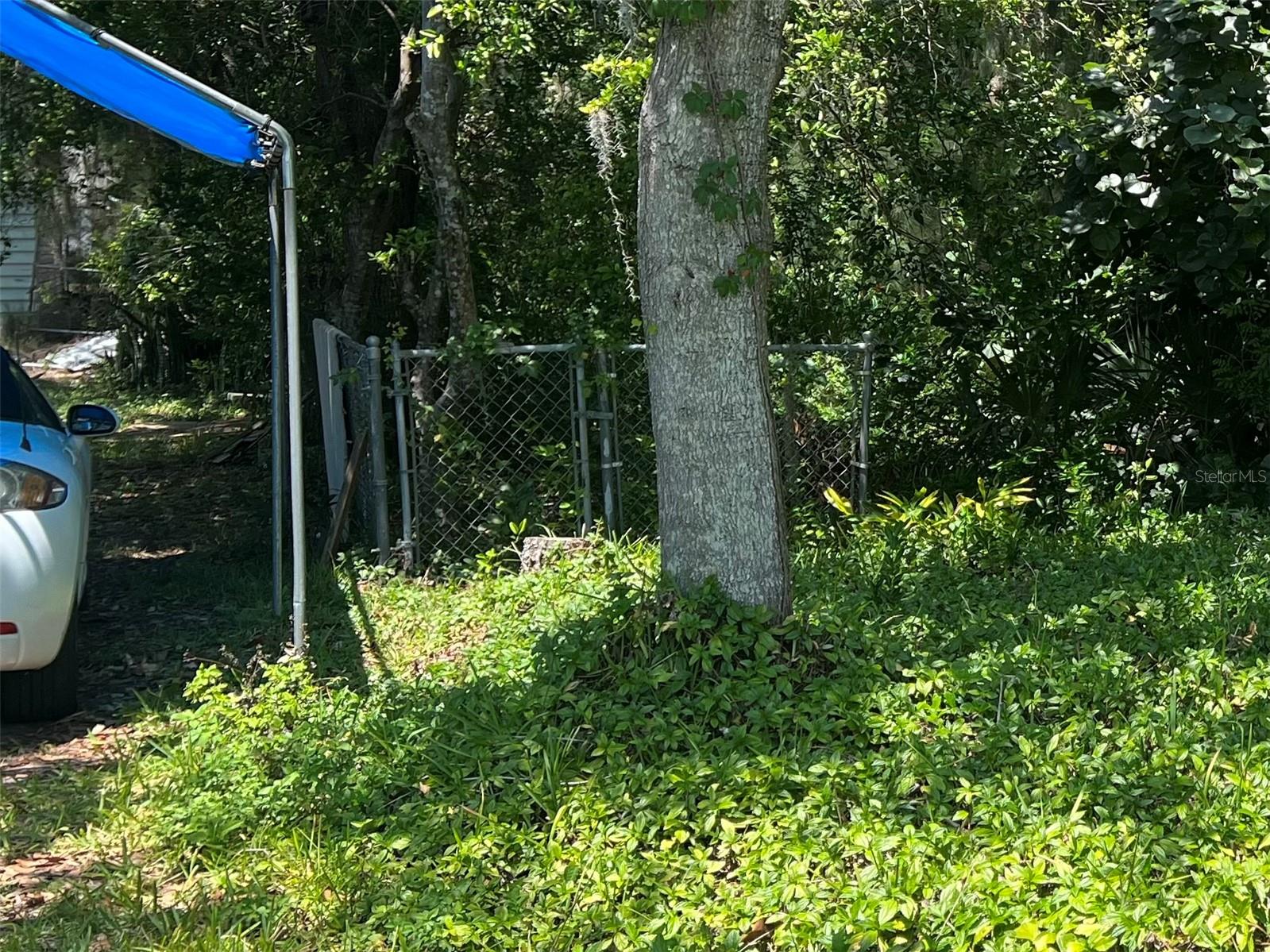 Access to Right of Tree and Chain Link Fence
