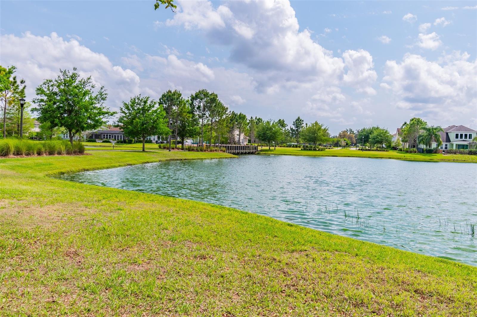 Local ponds