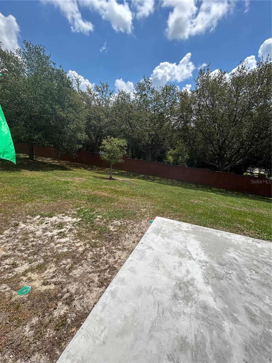 Backyard