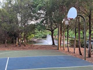 Basket Ball Court