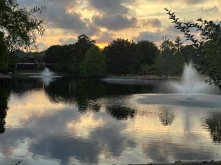 Ponds with fountans all within the gated community