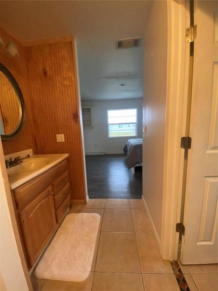 Master Bathroom Vanity