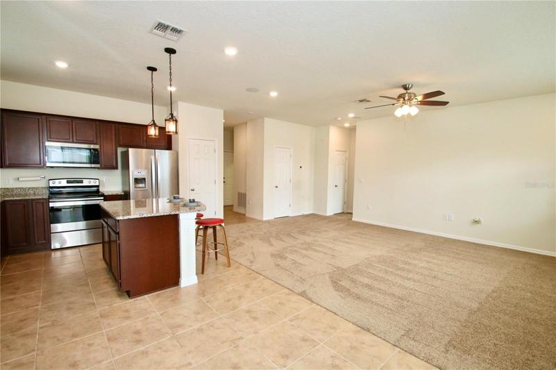 Kitchen/Living Room