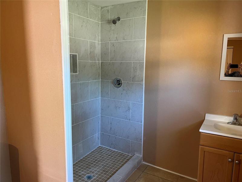 Master shower.