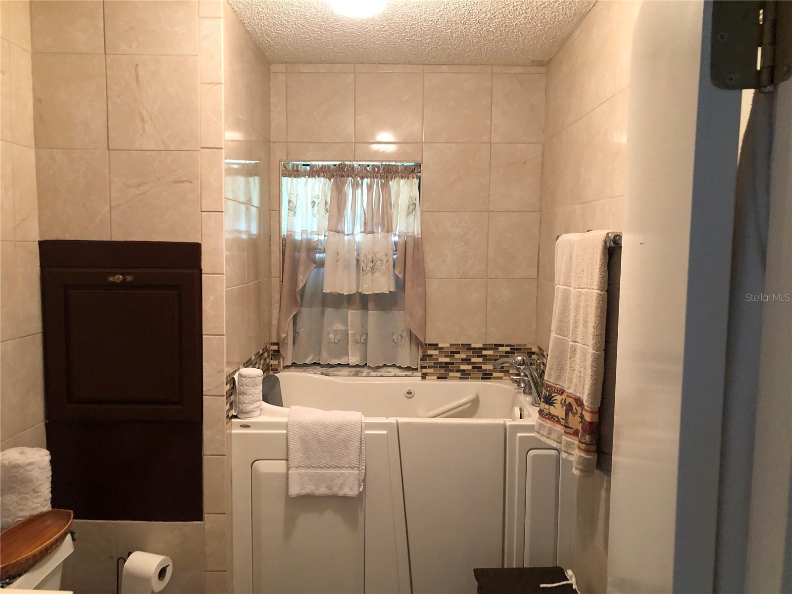 Guest Bath 2 Walk In Tub