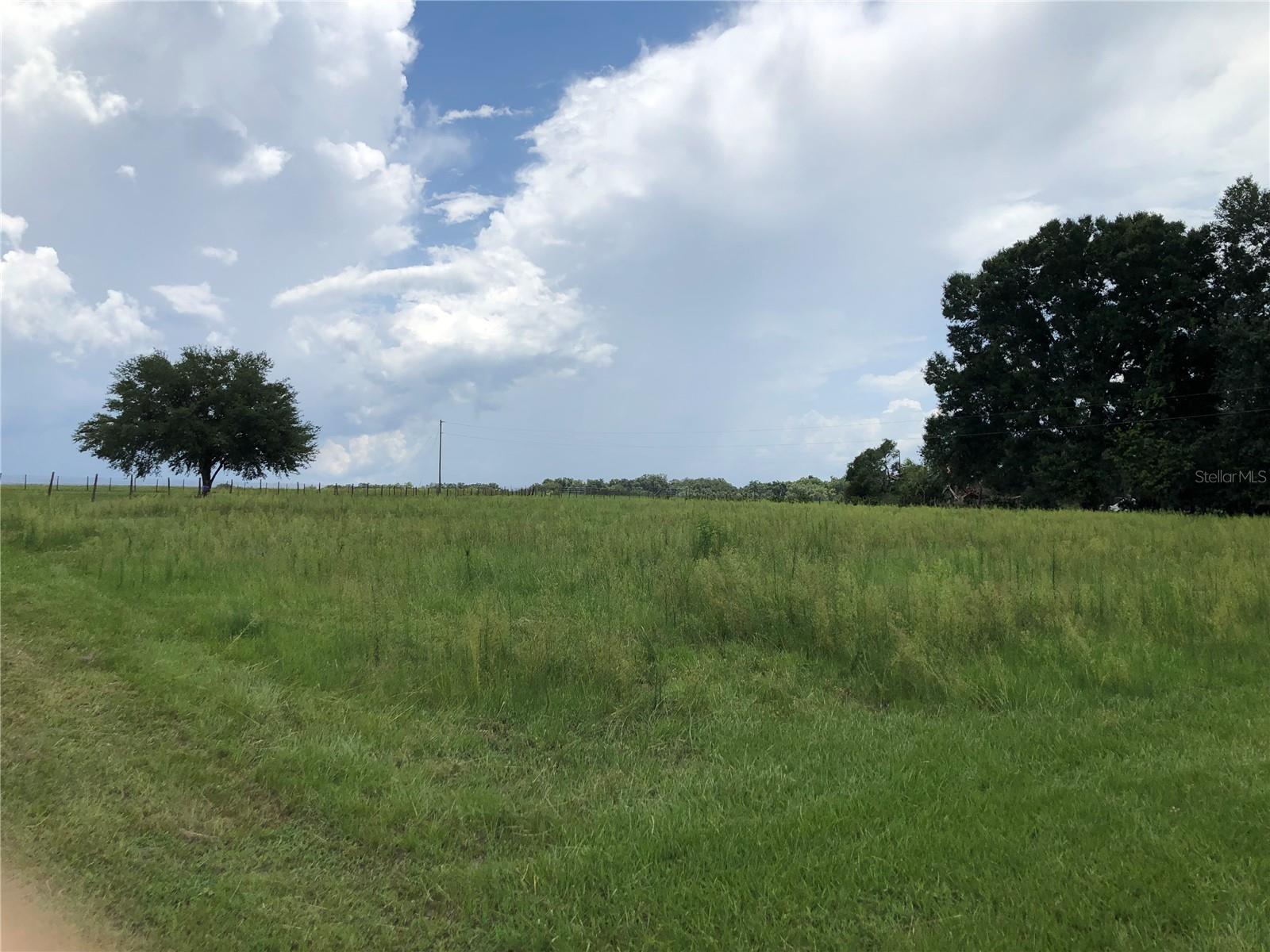 Pasture