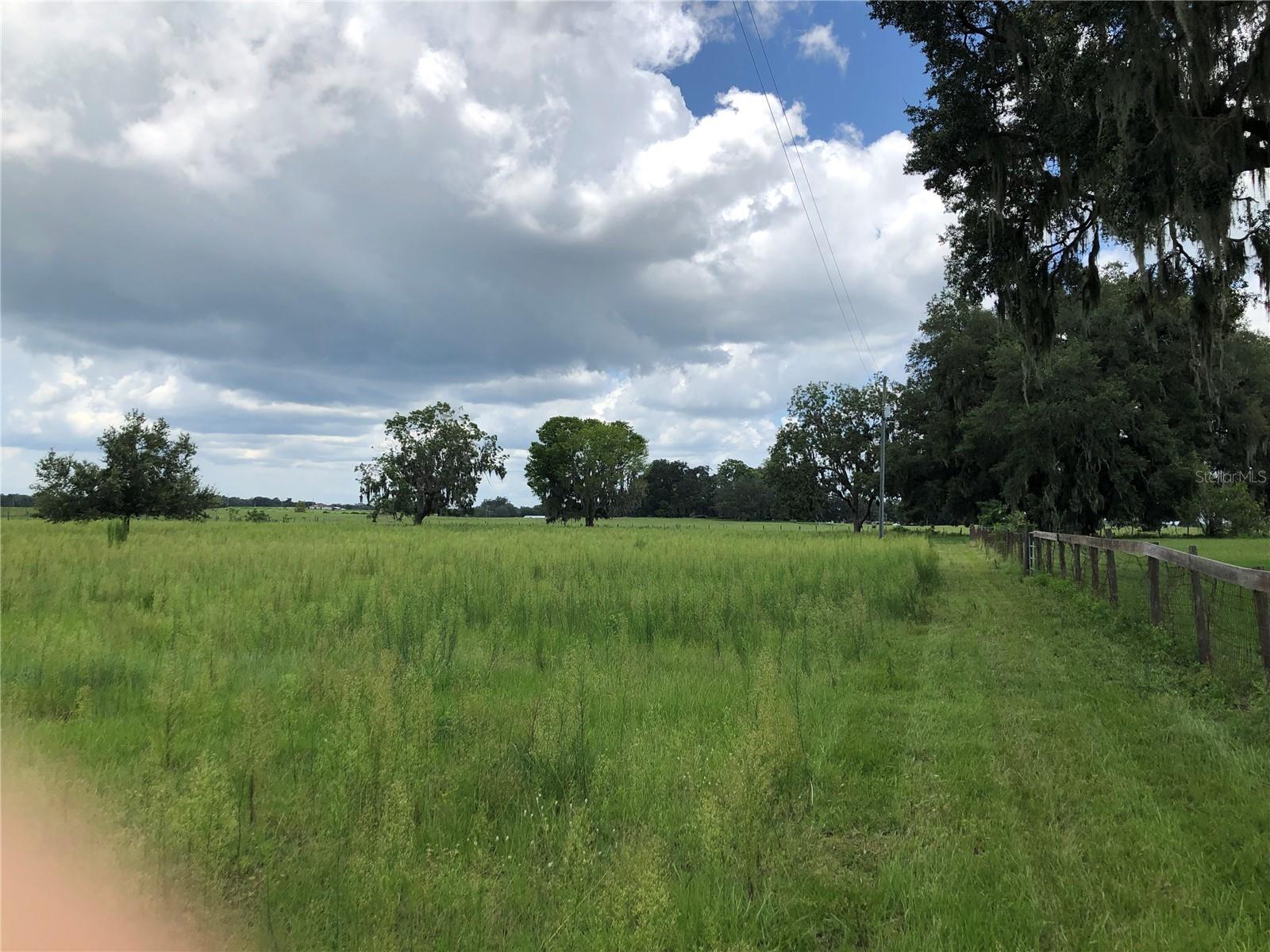 Pasture