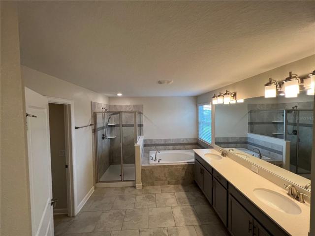 Owner's Bathroom