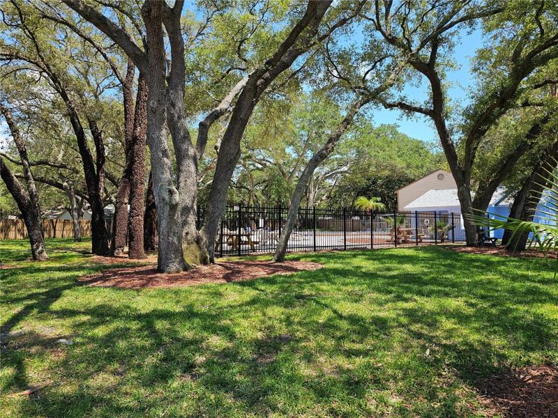 Lush pool area with barbecue, picnic tables and lounge chairs