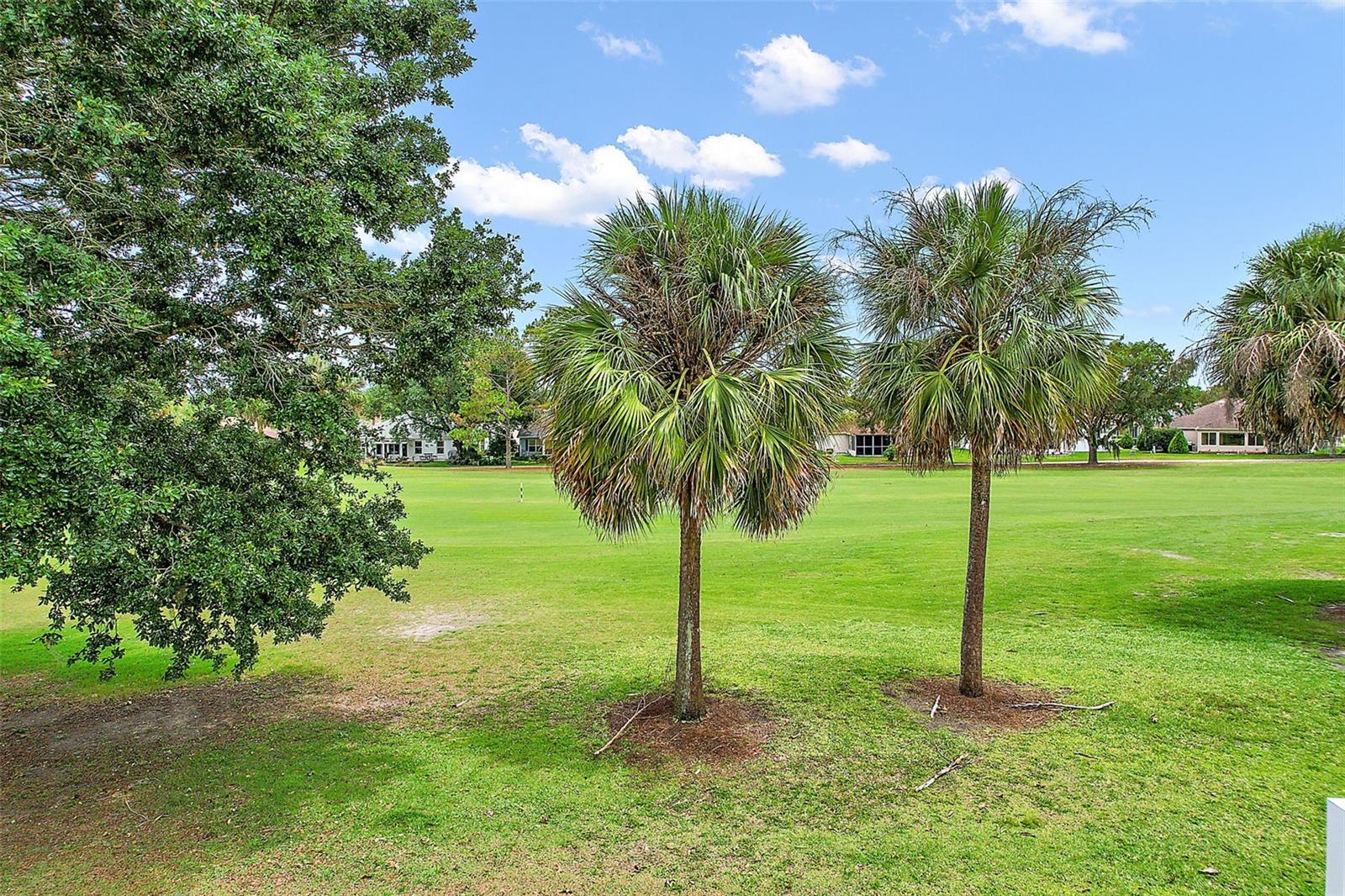 Spectacular Golf Course View