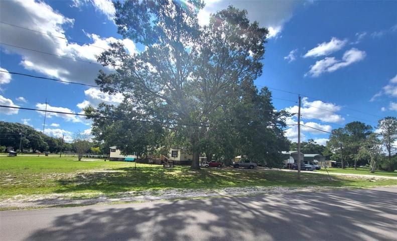Beautiful road view of the property with a gorgeous oak tree