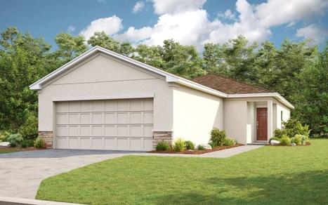 Holly C Rendering
