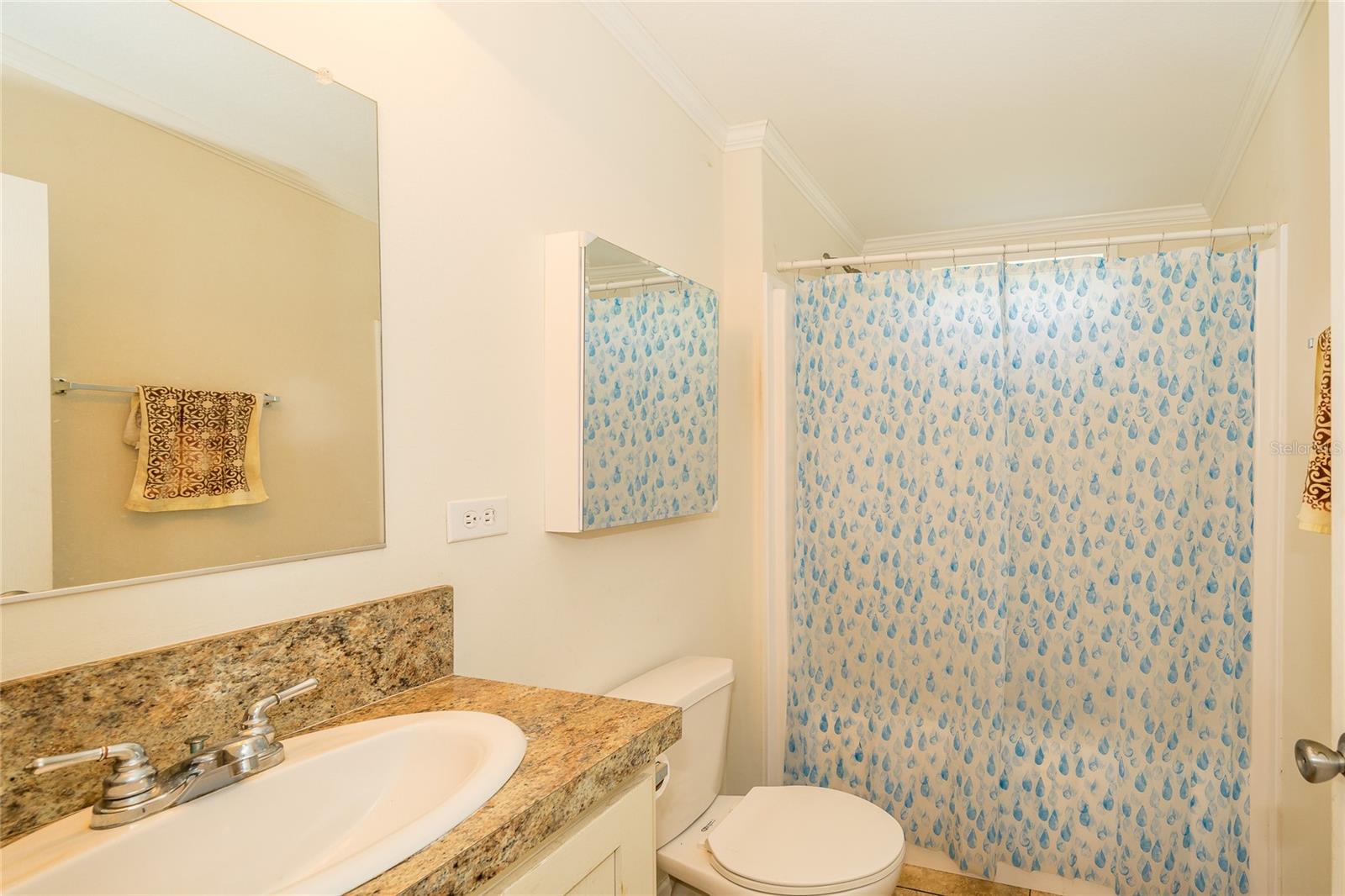 Guest bath