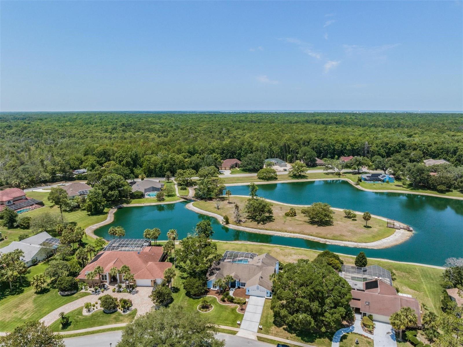 Drone View