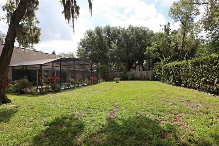 landscaped back yard