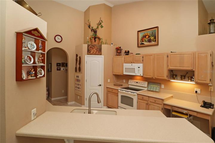 a ton of counter top space