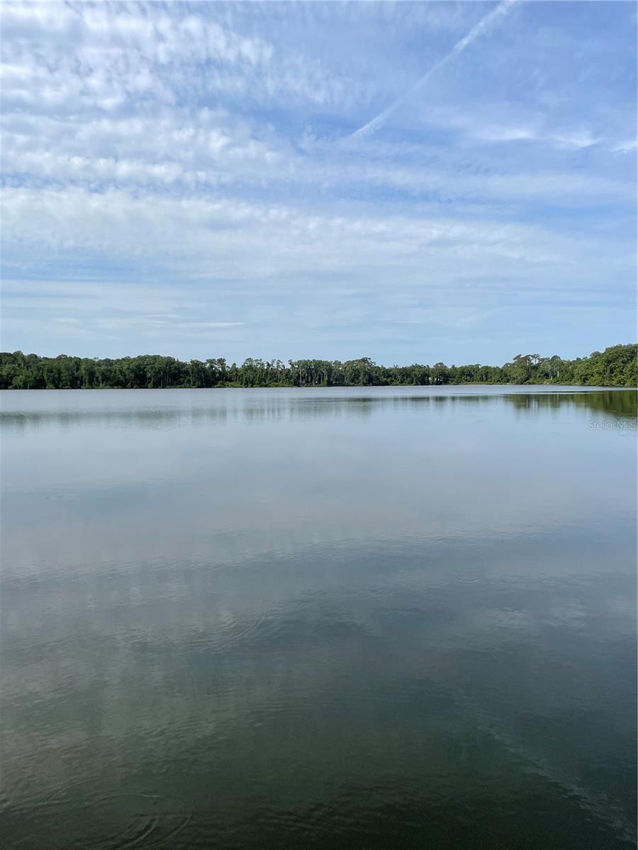 Mud Lake