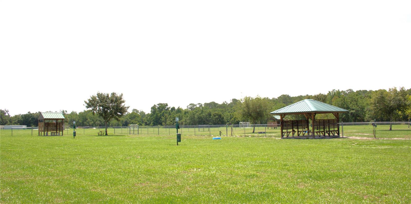 Dog Park