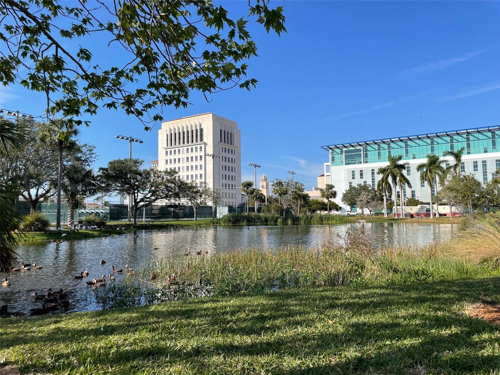 DOWNTOWN NEARBY