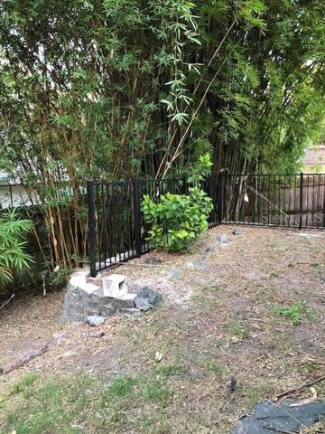 Fenced backyard