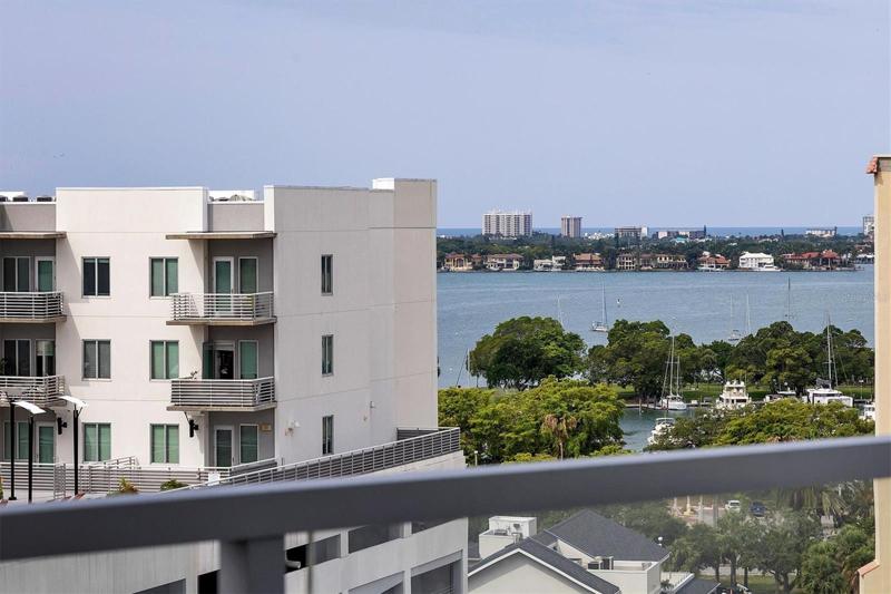View from the terrace
