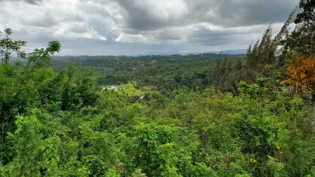 Vega Alta, Puerto Rico 00692, 0 , 0 ,0,Land,For Sale,KM. 1.8 PR-678,0,PR9100388