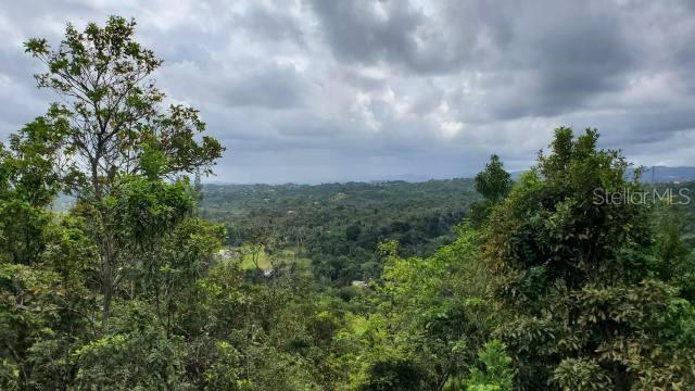 Vega Alta, Puerto Rico 00692, 0 , 0 ,0,Land,For Sale,KM. 1.8 PR-678,0,PR9100388