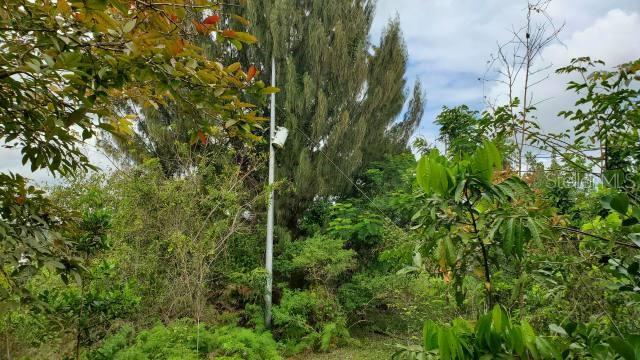 Vega Alta, Puerto Rico 00692, 0 , 0 ,0,Land,For Sale,KM. 1.8 PR-678,0,PR9100388