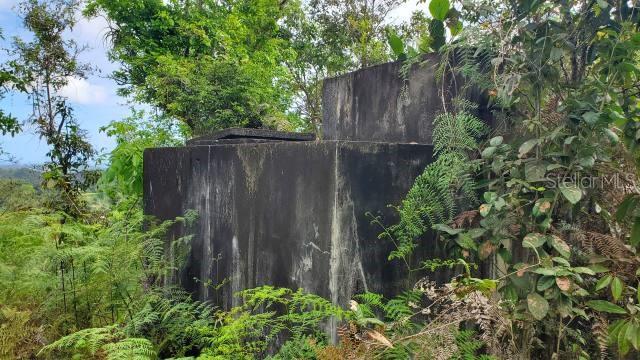 Vega Alta, Puerto Rico 00692, 0 , 0 ,0,Land,For Sale,KM. 1.8 PR-678,0,PR9100388