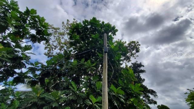 Vega Alta, Puerto Rico 00692, 0 , 0 ,0,Land,For Sale,KM. 1.8 PR-678,0,PR9100388