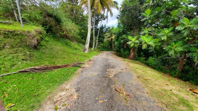 Vega Alta, Puerto Rico 00692, 0 , 0 ,0,Land,For Sale,KM. 1.8 PR-678,0,PR9100388