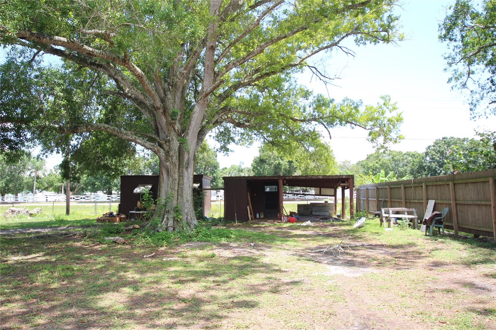 Shed