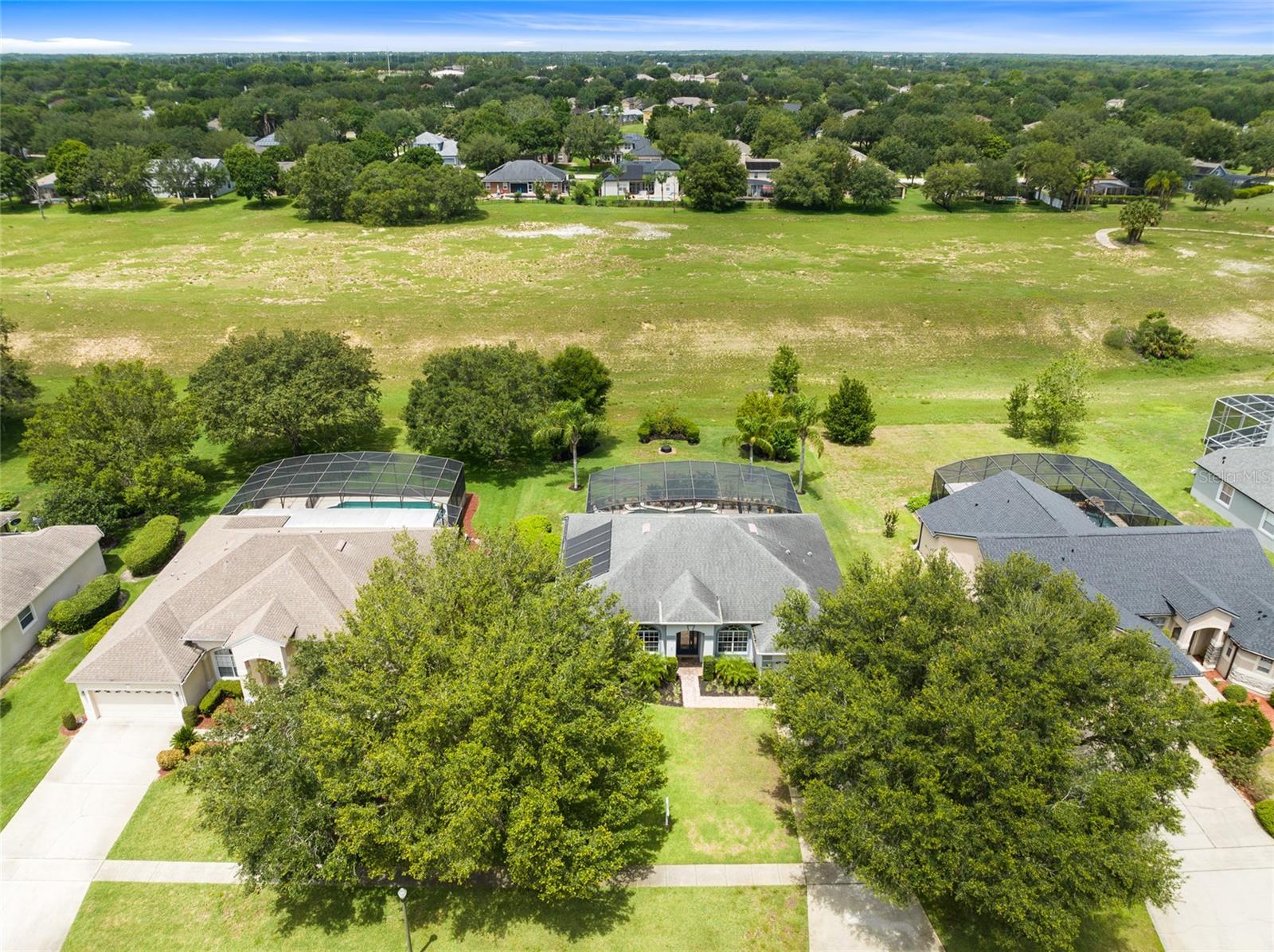 Bird View