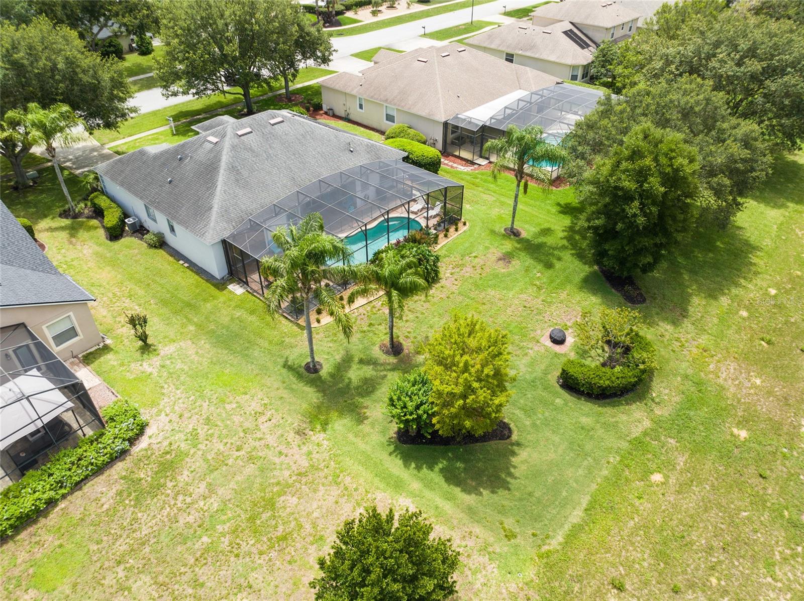Bird View