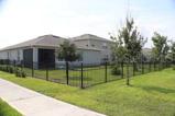 Iron fenced back yard.