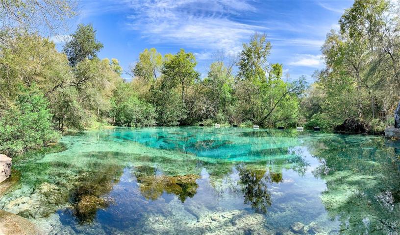 Ichetucknee Springs (20 Minutes from Property)