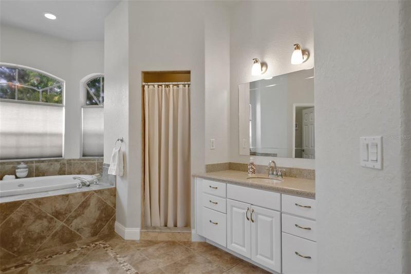 Master Bathroom with