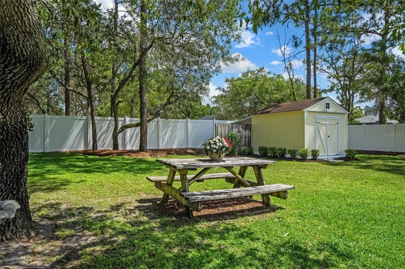 Park Like Backyard