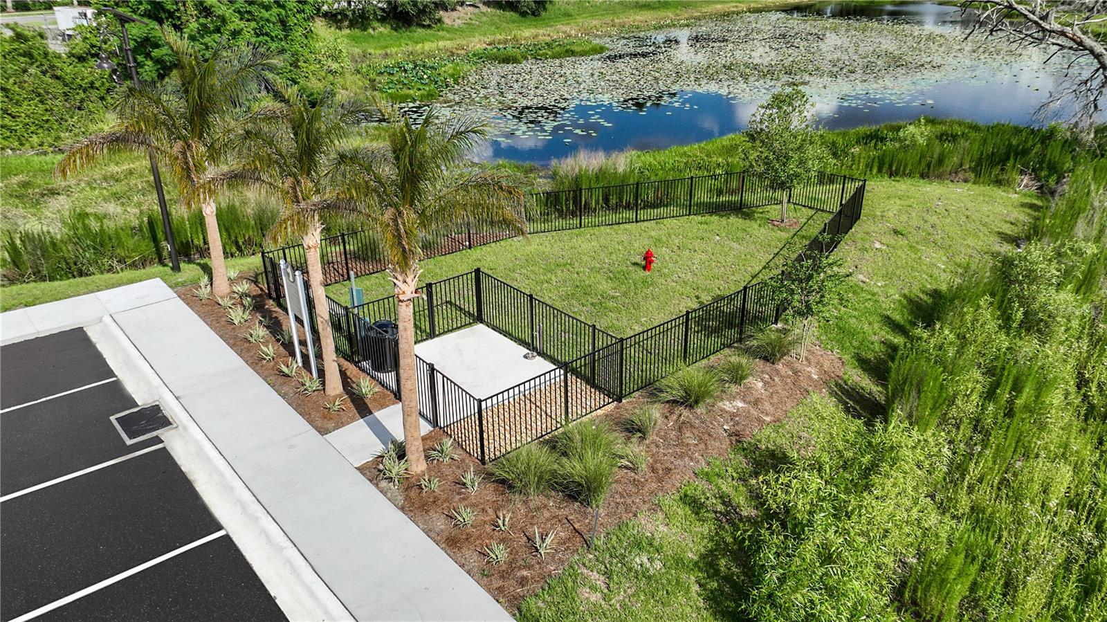 Paw Park