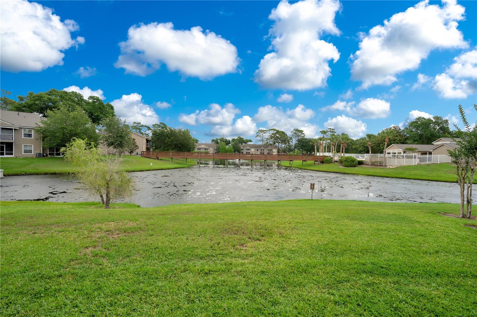 Pond View