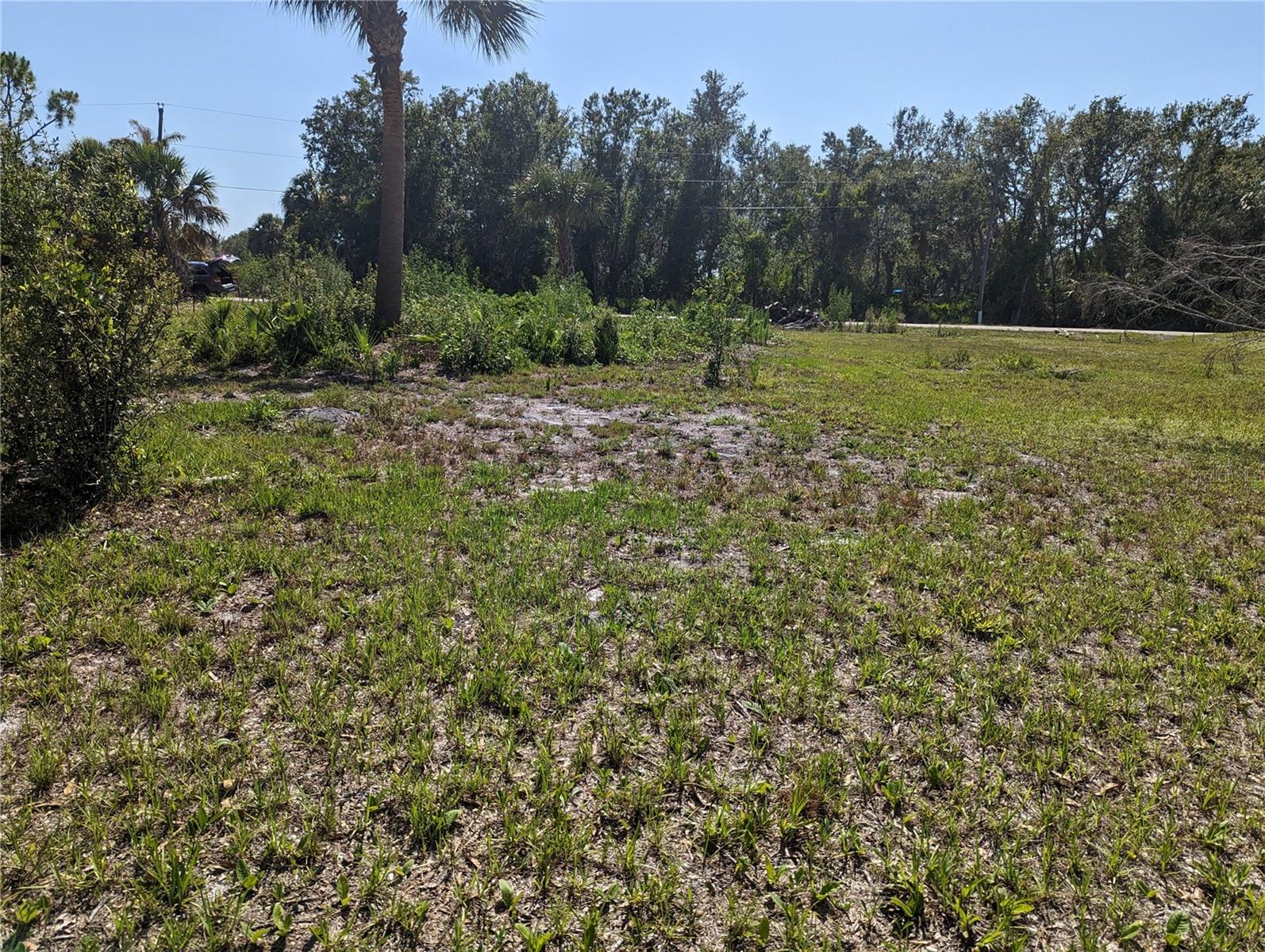 View from back right side of property facing the middle of lot