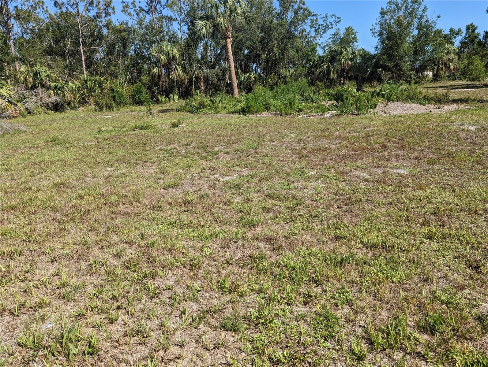 Front middle facing the rear of lot