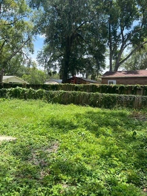 BACK YARD