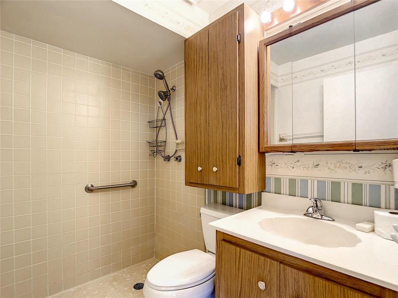 Guest Bath