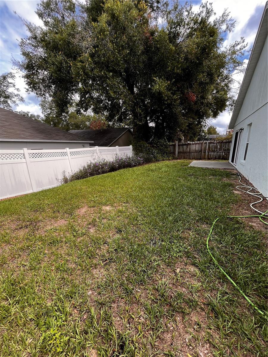 Back yard