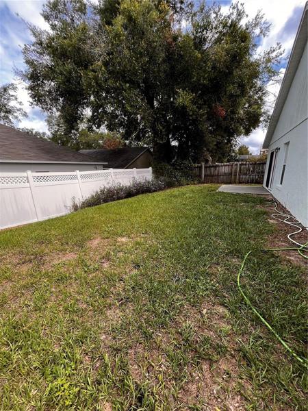 Back yard